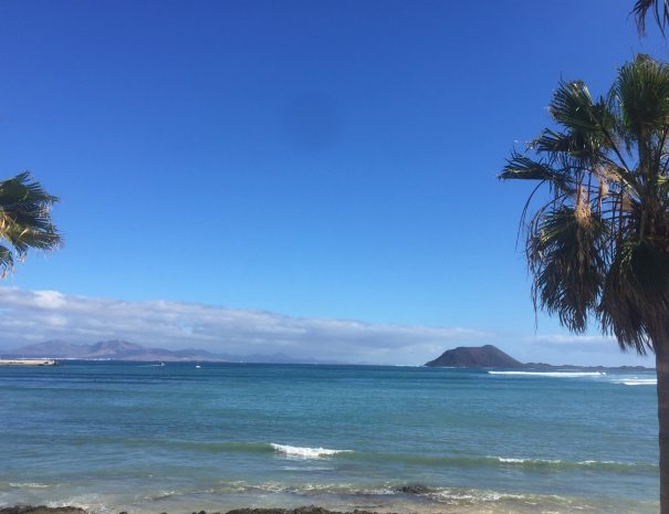 Startup Stock Photos